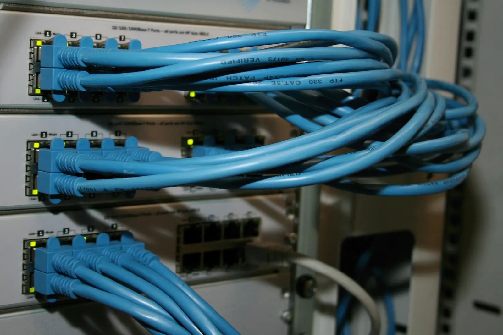 Blue network patch cables connected to a network switch
